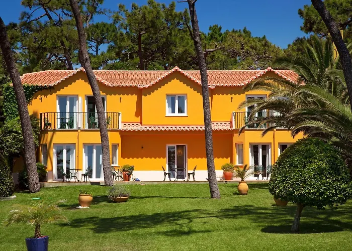 Longevity Senses - Boutique - Adults Only Віавіа